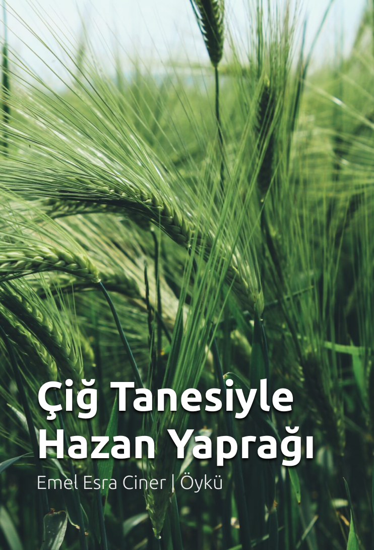 Çiğ Tanesiyle Hazan Yaprağı