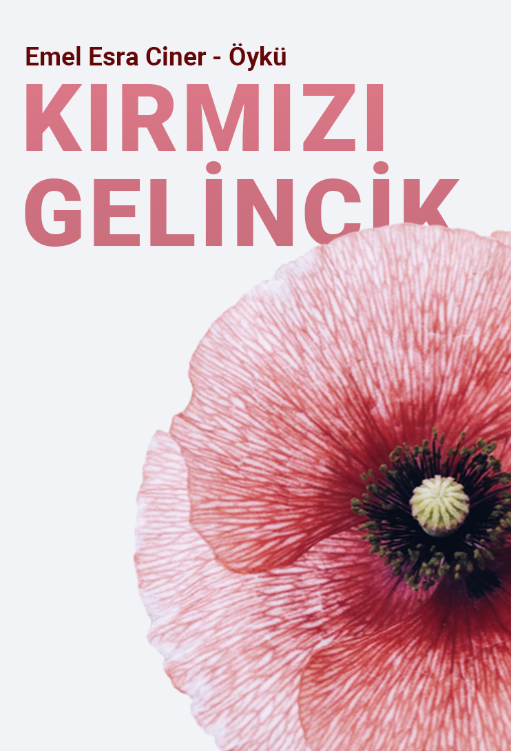 Kırmızı Gelincik